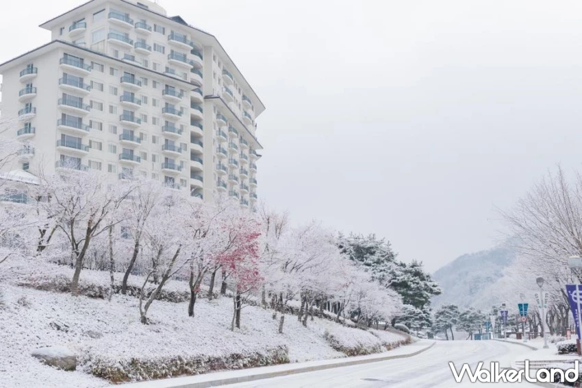 冬季滑雪熱潮來襲!KKday公布日韓TOP3滑雪場,再加碼雙倍點數優惠搶攻旅遊商機。 冬季滑雪熱潮來襲!KKday公布日韓TOP3滑雪場,再加碼雙倍點數優惠搶攻旅遊商機。