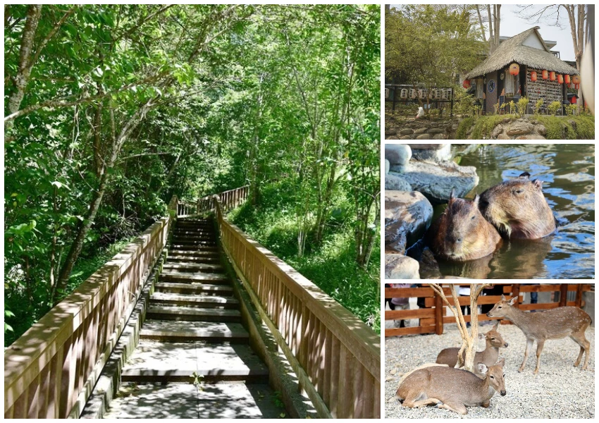 2025雙十國慶煙火在南投！南投國慶煙火施放時間、活動，順遊7大南投景點。