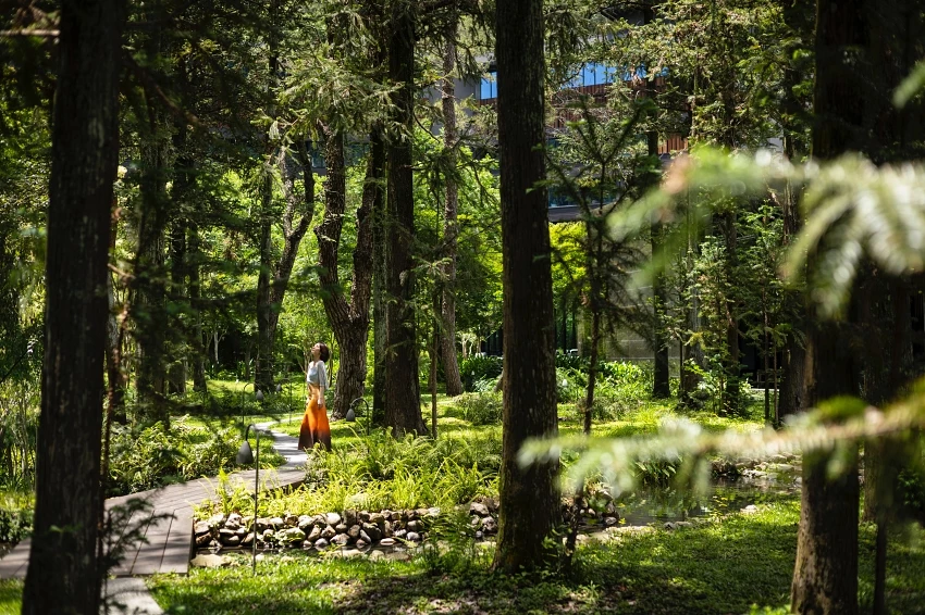 台灣首屆米其林星鑰飯店榜單揭曉「虹夕諾雅 谷關」摘下一星鑰,探索與自然共生的奢華溫泉住宿體驗。 台灣首屆米其林星鑰飯店榜單揭曉「虹夕諾雅 谷關」摘下一星鑰,探索與自然共生的奢華溫泉住宿體驗。