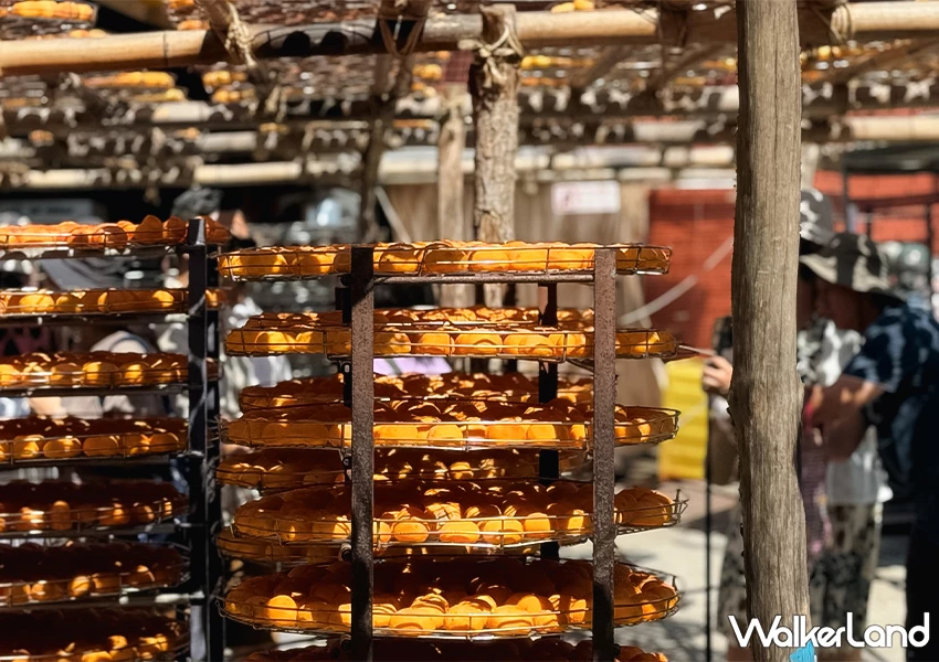 新竹柿餅季來了!味衛佳柿餅觀光農場 整片柿餅海超好拍,30元柿餅冰必吃。 新竹柿餅季來了!味衛佳柿餅觀光農場 整片柿餅海超好拍,30元柿餅冰必吃。