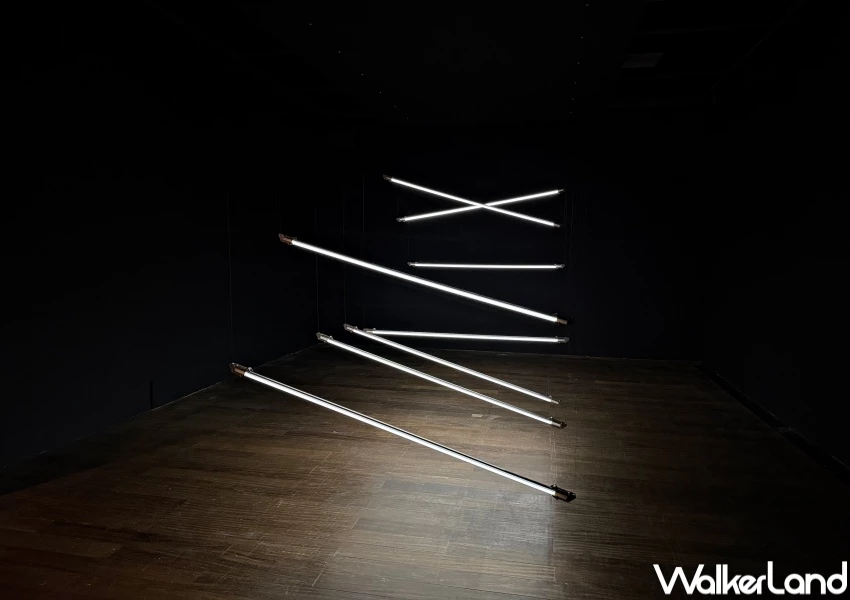 中山站展覽推薦！台北當代藝術館宇宙寫生15件作品登場，沉浸式森林宇宙必拍。