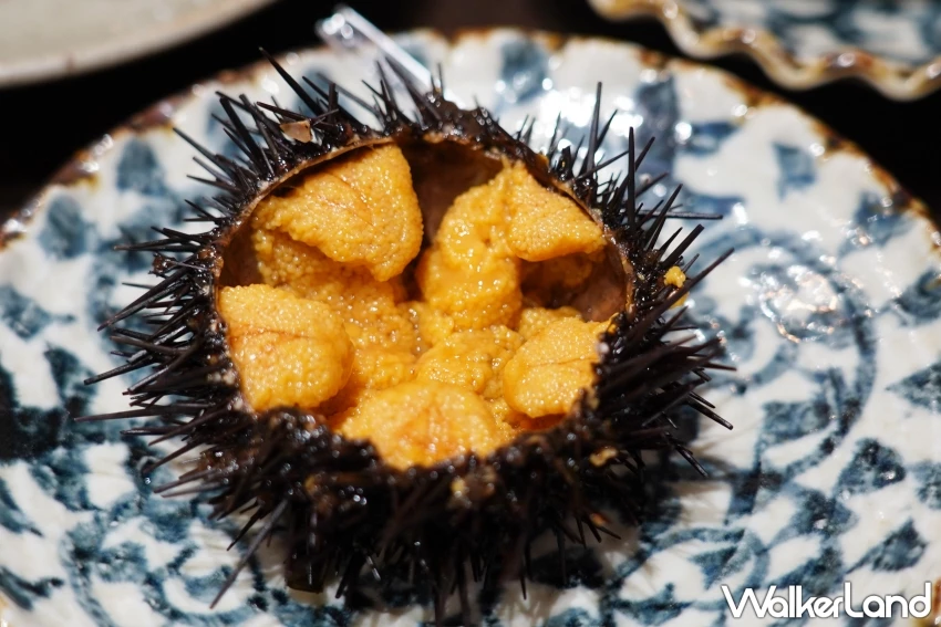 仙台早餐推薦！浜伸渡邊商店 現選現吃鮮美海鮮，親切老闆娘會說中文