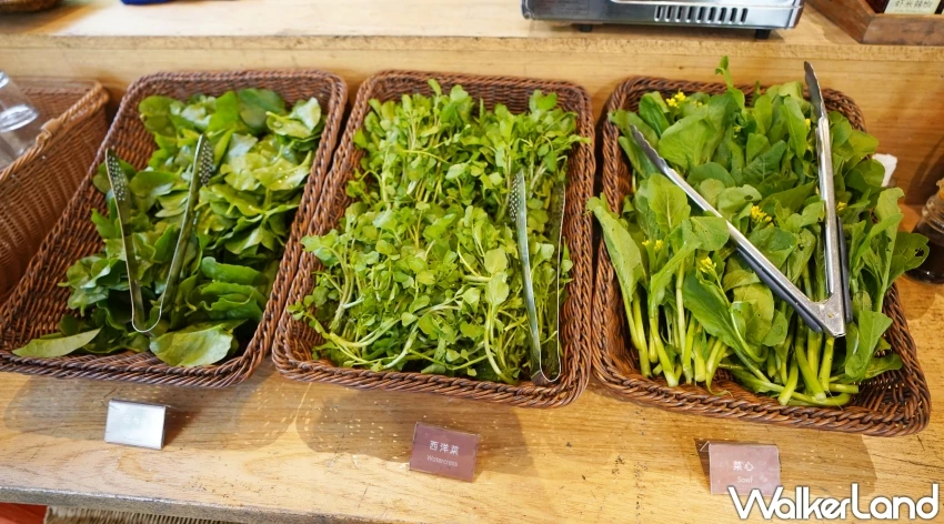 吉隆坡特色美食餐廳推薦!森芭梯田:山林間品嚐田園料理、體驗露營生活
