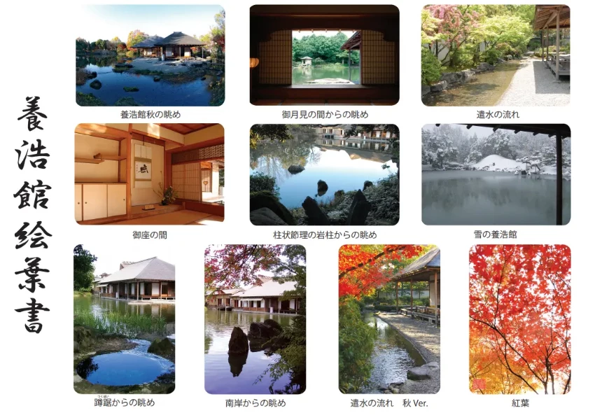 日本庭園排名常勝軍：福井藩主私人別墅「養浩館」11月限定點燈開跑，在美麗庭園裡配著抹茶賞夜楓超美。