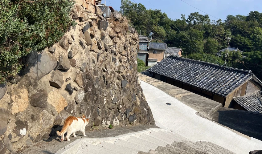 跟著海風與貓散步吧！山城漁村的石牆屋舍藏著一間間懷抱夢想的手作小屋「瀨戶內海新星島嶼－男木島」。