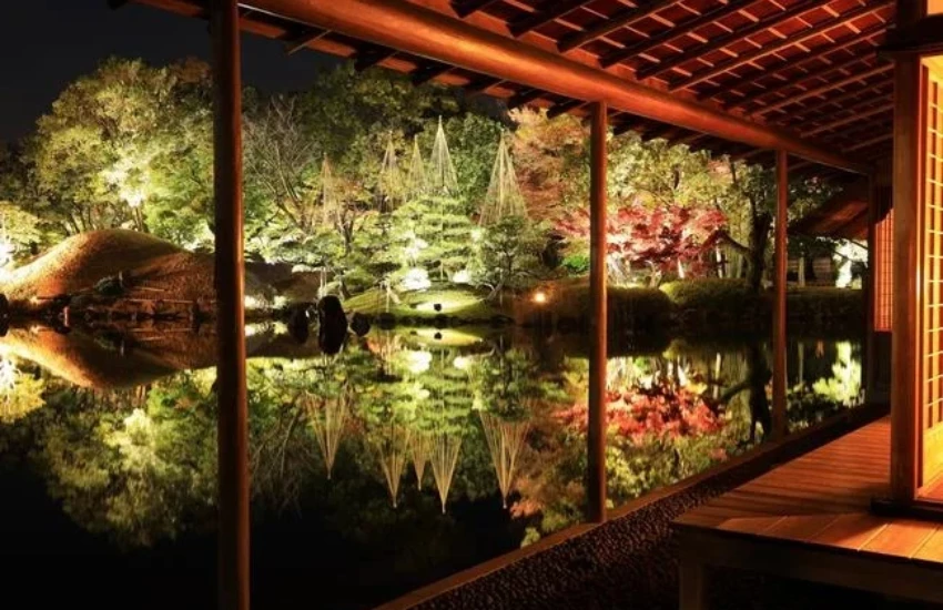 日本庭園排名常勝軍：福井藩主私人別墅「養浩館」11月限定點燈開跑，在美麗庭園裡配著抹茶賞夜楓超美。