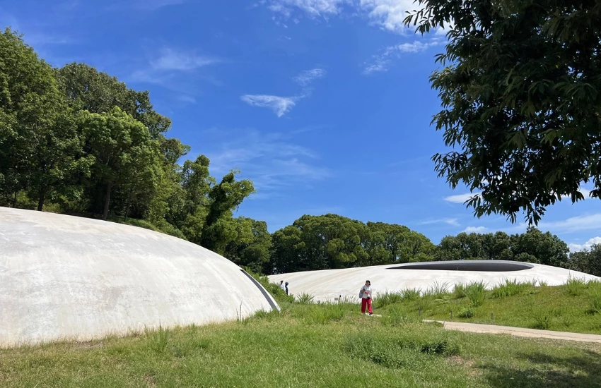 超越觀光的藝術島嶼!在瀨戶內豐島,連水珠、稻田、橄欖豬都能成為一場藝術。 超越觀光的藝術島嶼!在瀨戶內豐島,連水珠、稻田、橄欖豬都能成為一場藝術。