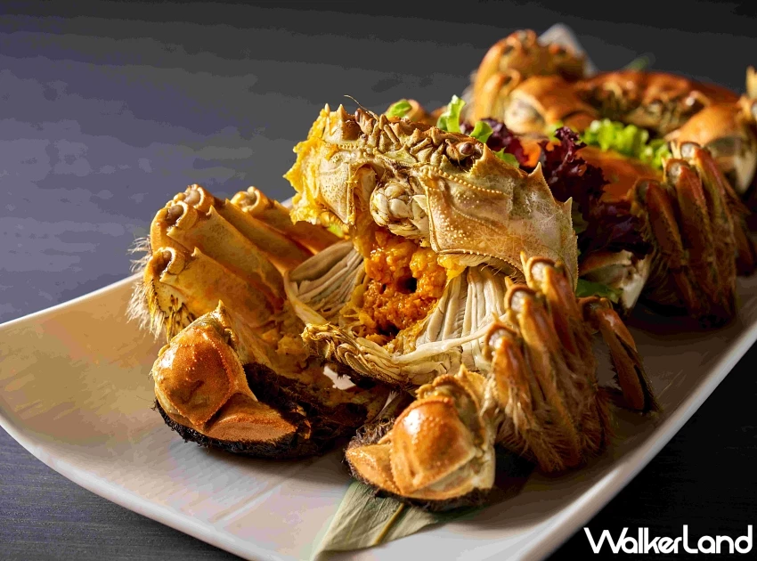 2025台北9大秋蟹美食地圖!清蒸大閘蟹、奢華帝王蟹與濃醇沙公,優惠套餐與訂位資訊一次看。 2025台北9大秋蟹美食地圖!清蒸大閘蟹、奢華帝王蟹與濃醇沙公,優惠套餐與訂位資訊一次看。