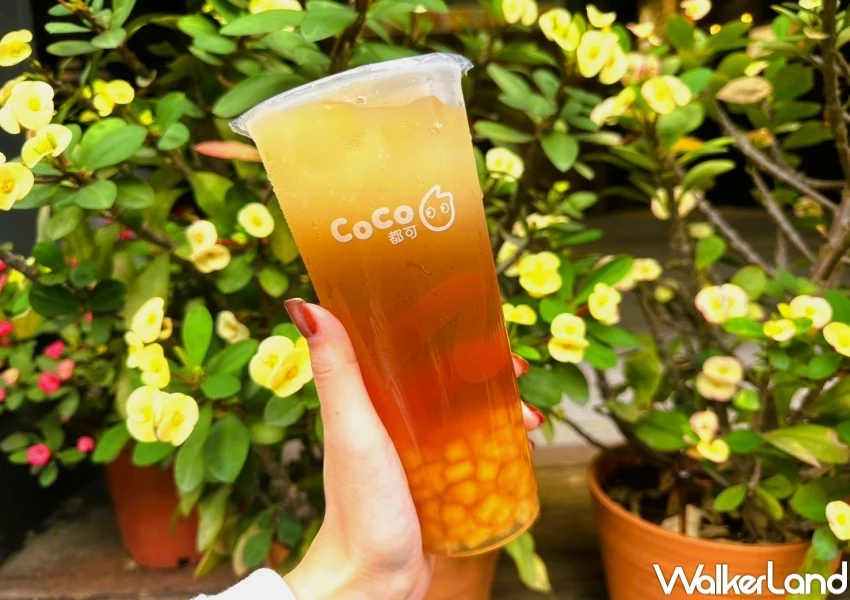 11月CoCo買一送一清單!CoCo最划算優惠整理,日焙珍奶買一送一 粉角奶茶買一送一。 11月CoCo買一送一清單!CoCo最划算優惠整理,日焙珍奶買一送一 粉角奶茶買一送一。