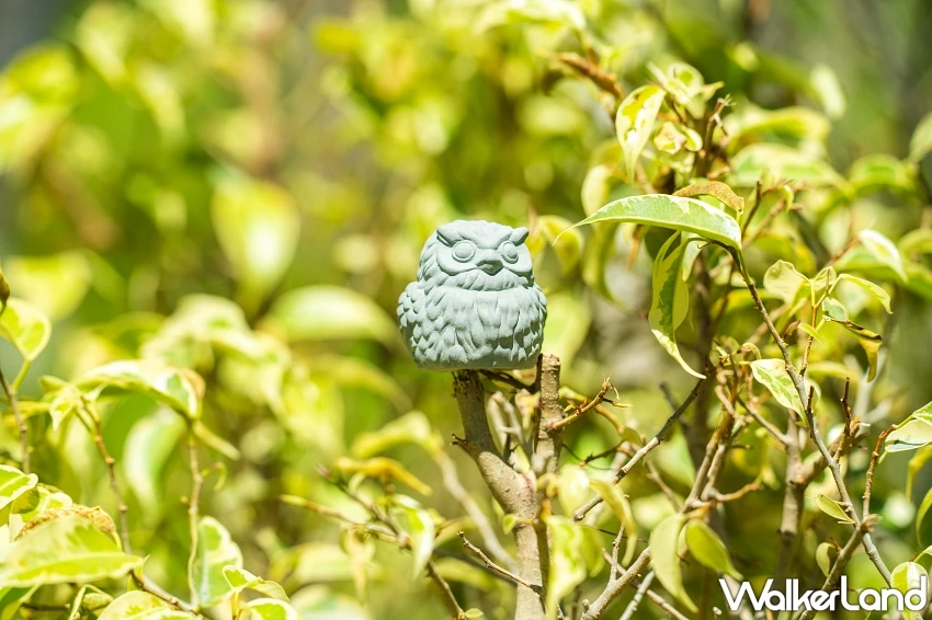 花蓮旅遊新亮點！台泥DAKA推出鸚鵡螺圖書館奇幻之旅，探索文明與自然的永續之路。