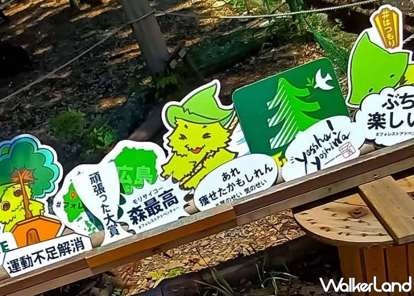 廣島吉祥物「廣熊」超萌美食家魅力爆發,必買檸檬紅葉饅頭與特色伴手禮地圖。 廣島吉祥物「廣熊」超萌美食家魅力爆發,必買檸檬紅葉饅頭與特色伴手禮地圖。