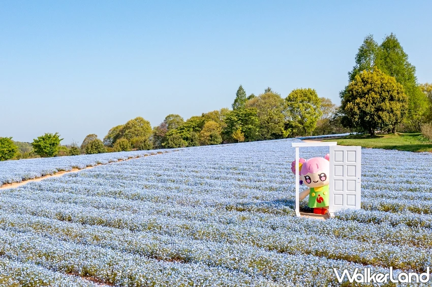 廣島吉祥物「廣熊」超萌美食家魅力爆發,必買檸檬紅葉饅頭與特色伴手禮地圖。 廣島吉祥物「廣熊」超萌美食家魅力爆發,必買檸檬紅葉饅頭與特色伴手禮地圖。