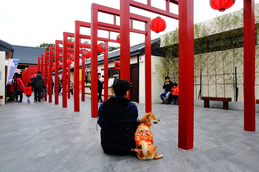 蛋寶生技不老村 /旅遊窩客 小珊珊 提供
