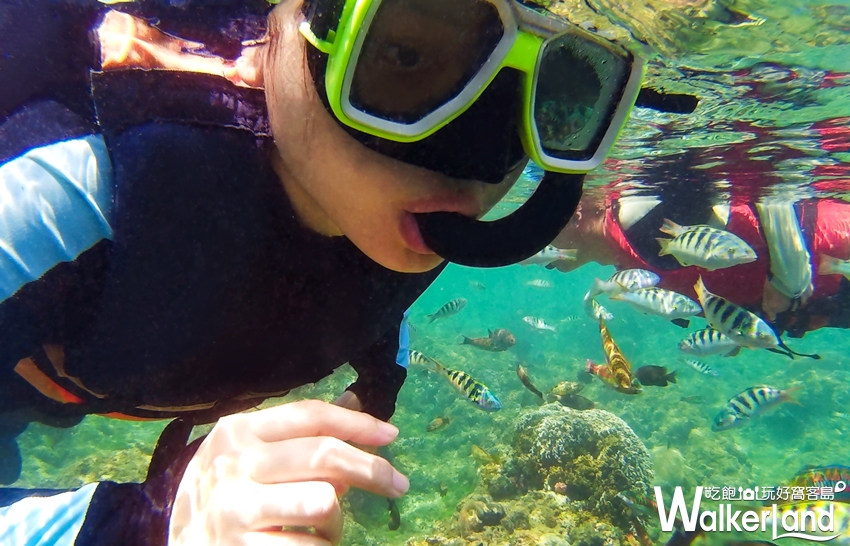  墾丁 / WalkerLand窩客島提供