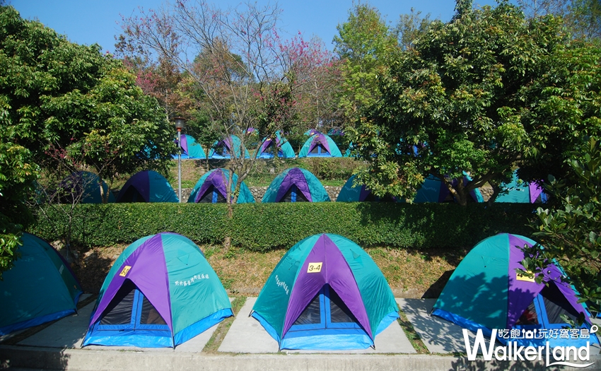 全台11座超嗨遊樂園 / WalkerLand窩客島提供