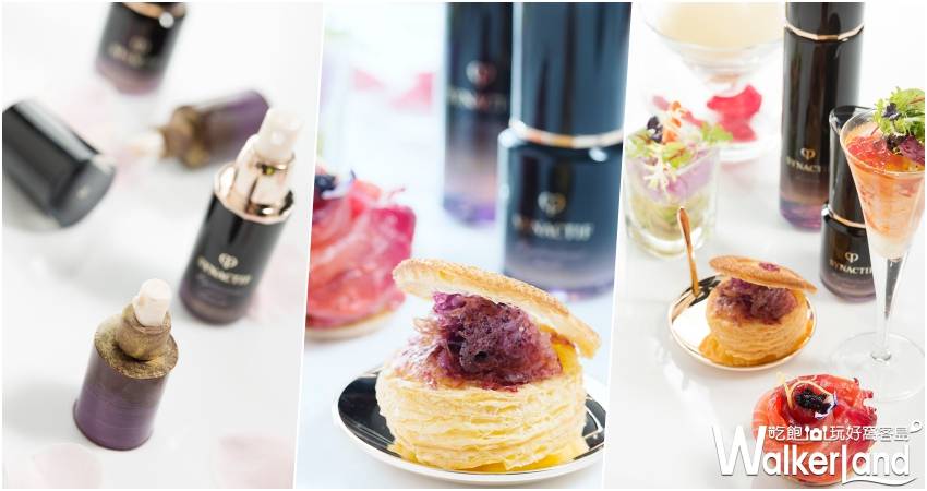 馬可波羅春季限定下午茶 / WalkerLand窩客島整理提供