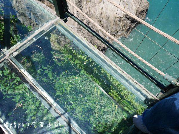 花蓮 景點 拍照 打卡 文青 網紅 懶人包 豐濱天空步道 / WalkerLand窩客島提供 花蓮 景點 拍照 打卡 文青 網紅 懶人包 豐濱天空步道 / WalkerLand窩客島提供