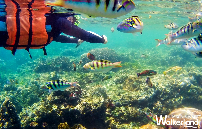  墾丁 / WalkerLand窩客島提供