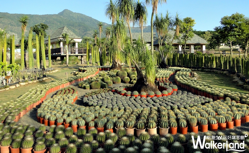 全台11座超嗨遊樂園 / WalkerLand窩客島提供