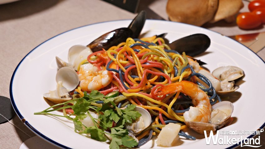 MOLINO / WalkerLand窩客島提供 MOLINO / WalkerLand窩客島提供