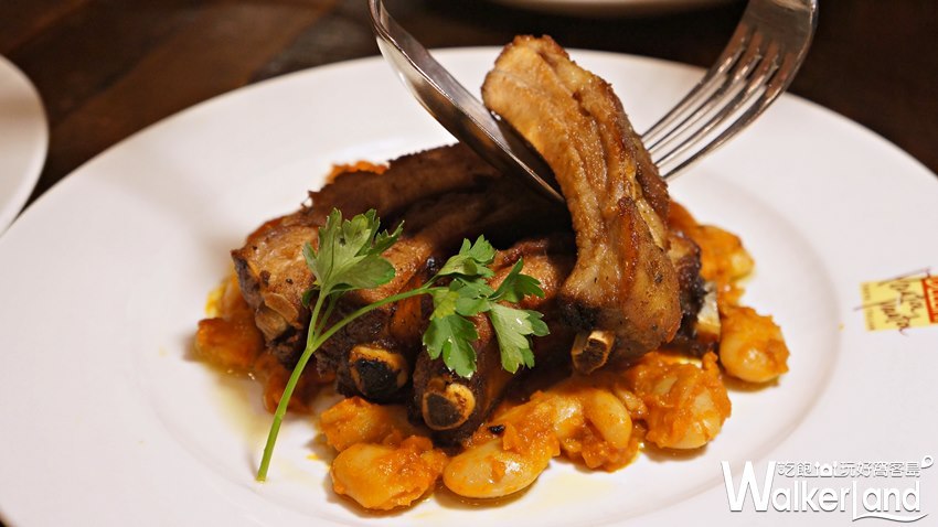 MOLINO / WalkerLand窩客島提供 MOLINO / WalkerLand窩客島提供