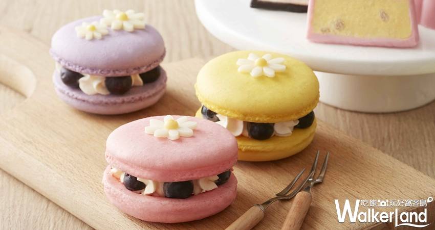 COLD STONE 月餅 中秋