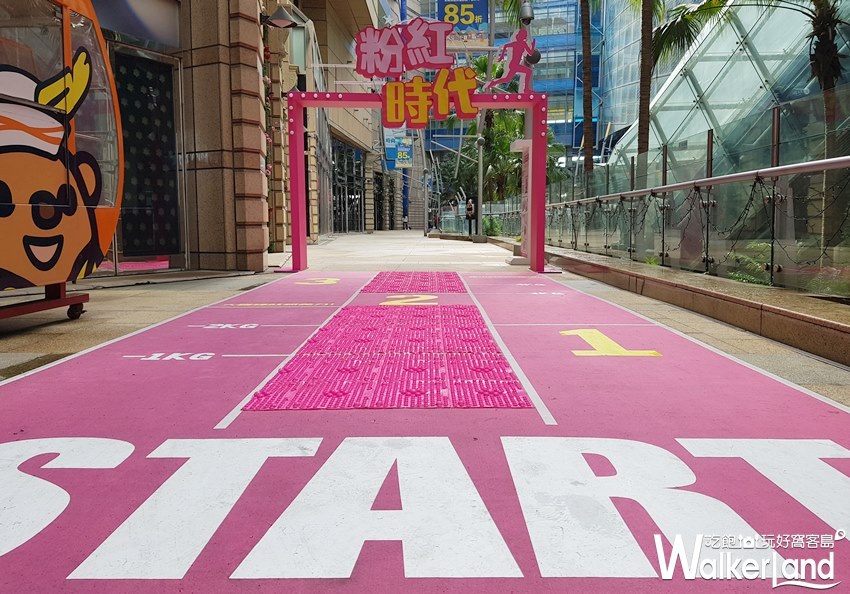 粉紅遊樂園 / WalkerLand窩客島提供