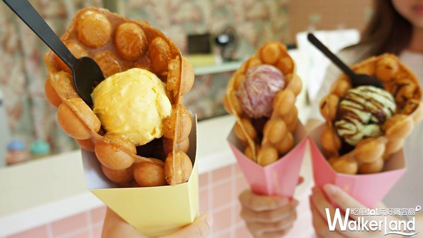 EGGY x PICNIC / WalkerLand窩客島提供