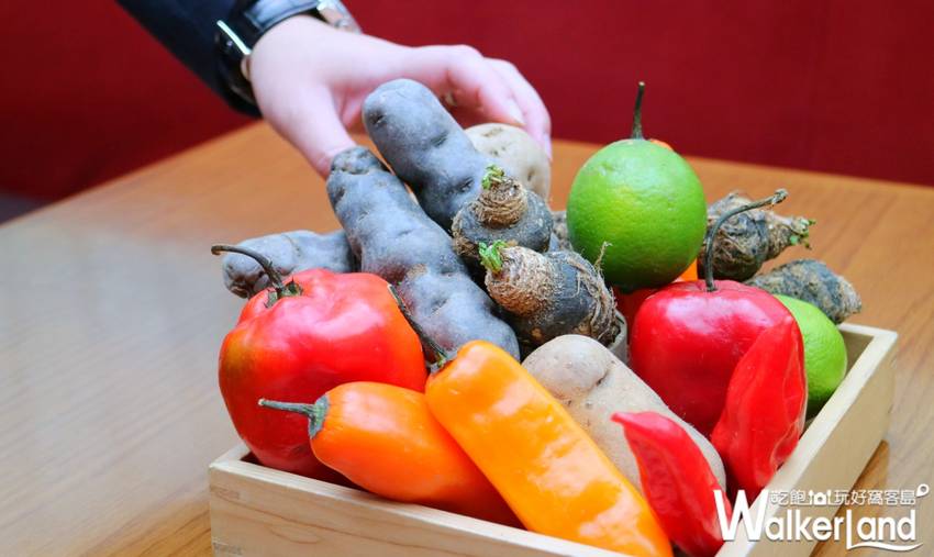 澳門摘星美食 / WalkerLand窩客島數位編輯 李維唐 採訪編輯