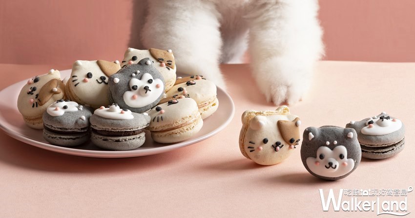 Dazzling Café / WalkerLand窩客島提供