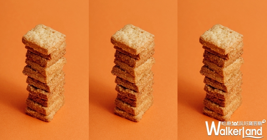 富錦樹 / WalkerLand窩客島提供 富錦樹 / WalkerLand窩客島提供