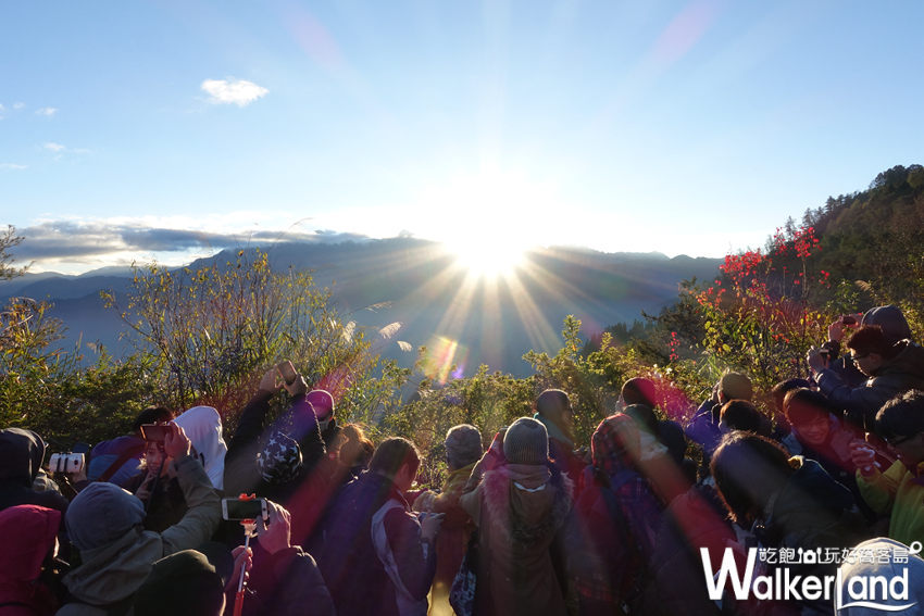 阿里山曙光 阿里山曙光