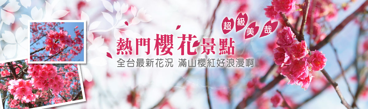 賞櫻人氣景點 全台櫻花粉雪盛開 立馬安排一場賞櫻之旅吧~