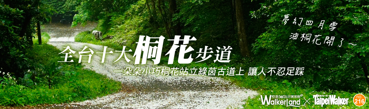 夢幻四月雪紛飛 油桐花開了~浪漫邂逅全台十大桐花步道!賞桐小旅行Let's Go!