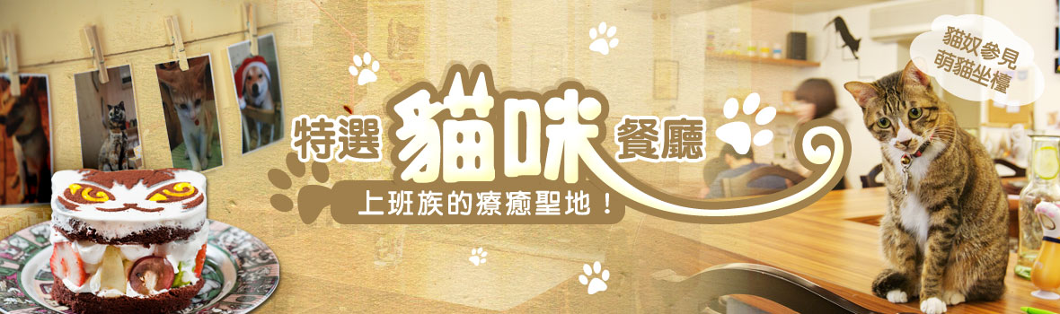 上班族周末療癒放鬆哪裡去?貓咪餐廳大特搜 貓店長快用肉球來撫慰我們吧!