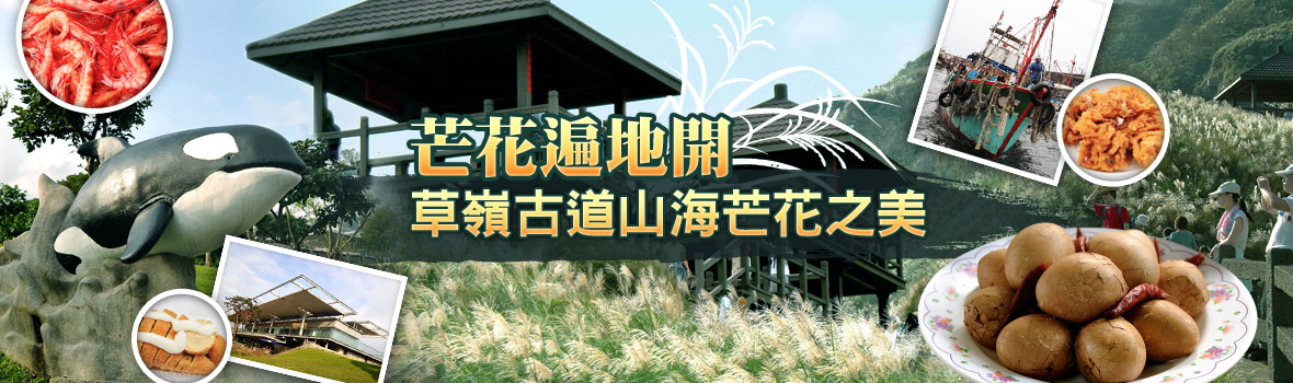 宜蘭縣 宜蘭 【芒花遍地開】草嶺古道山海芒花之美