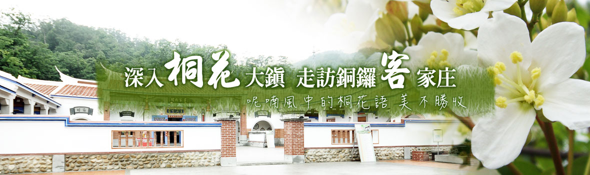 苗栗縣 苗栗銅鑼 苗栗銅鑼人氣推薦 5月賞桐、11月遊杭菊！客家庄花田樂趣 等你來走走~
