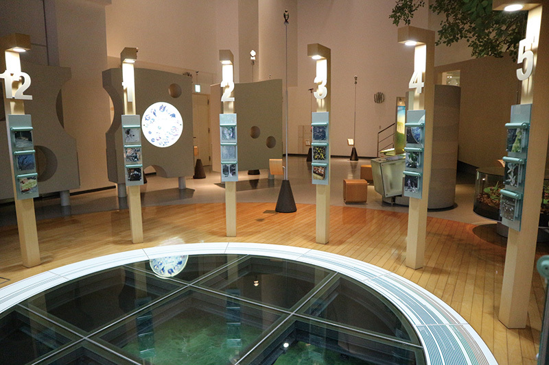 白神山地 Visitor Center