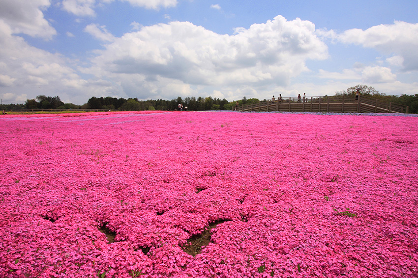 富田さとにわ耕園 富田さとにわ耕園