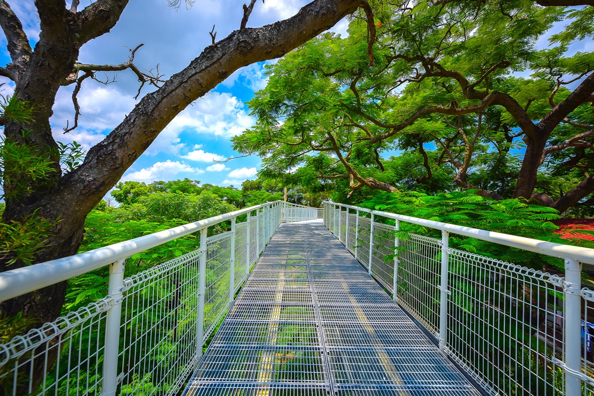 八卦山天空步道