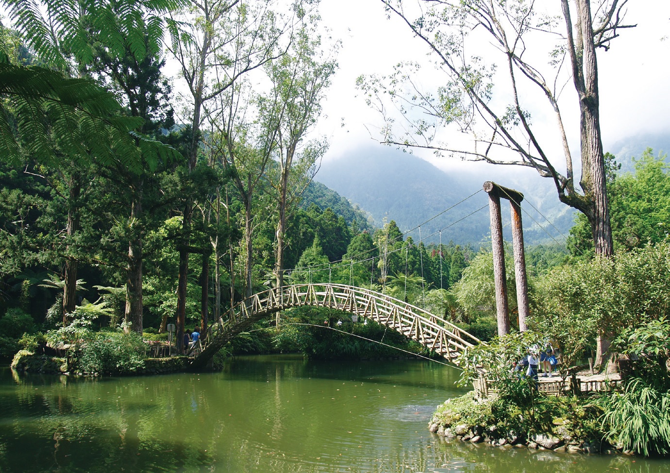 溪頭自然教育園區