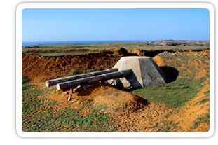 西台餌砲 西台餌砲