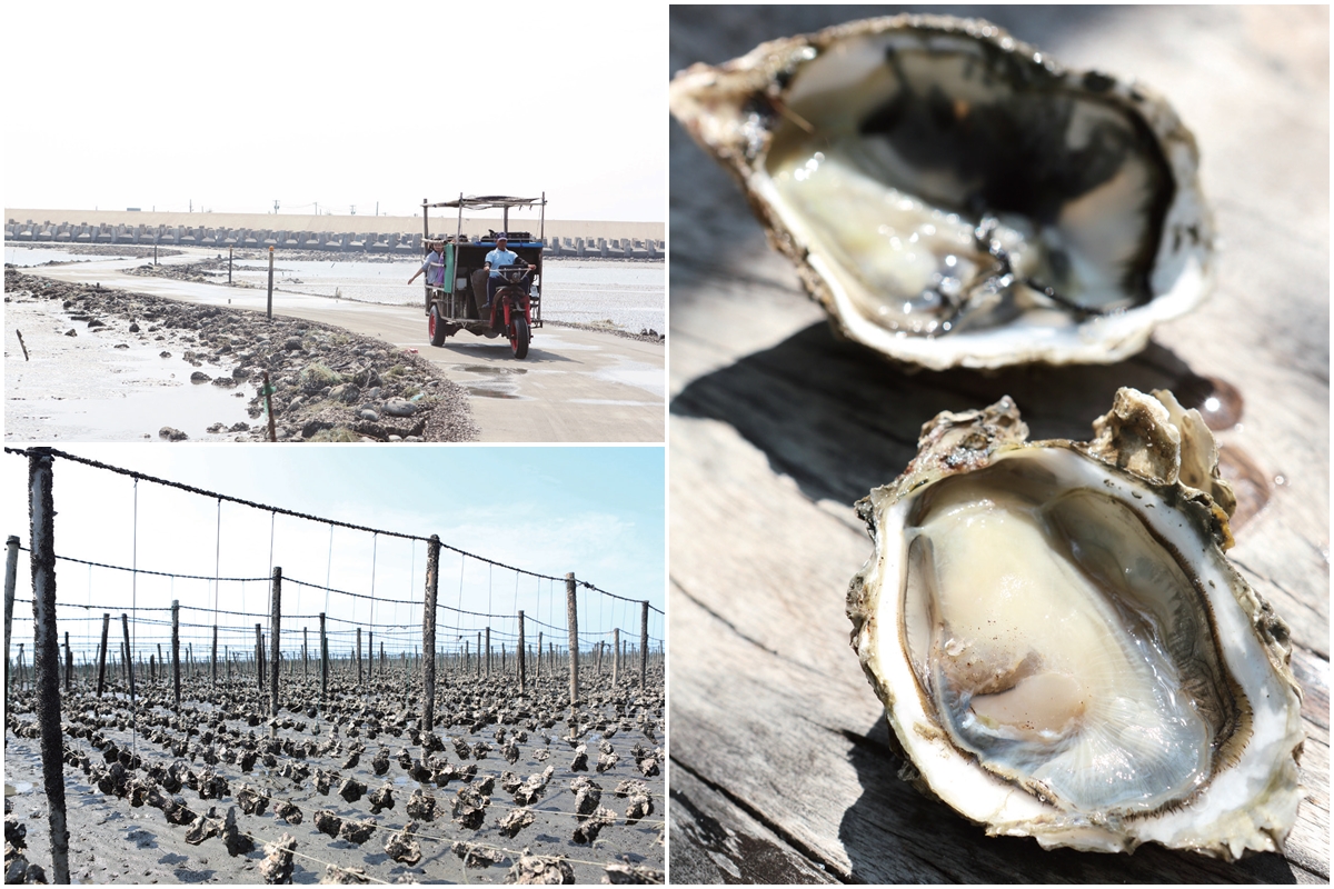 王功蚵藝文化館