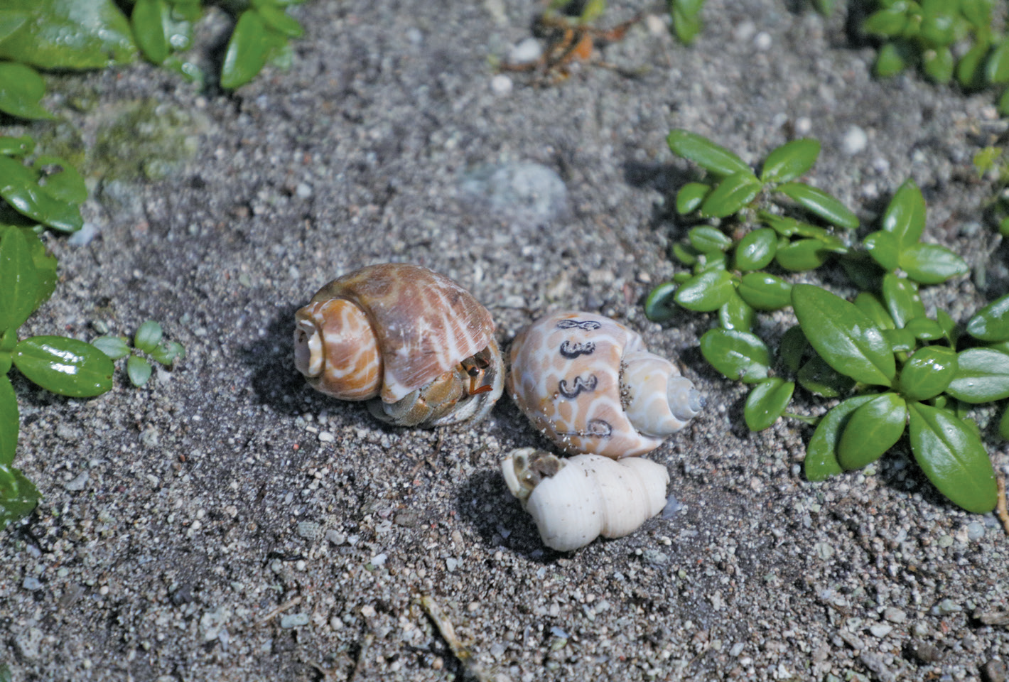 綠島見學館 綠島見學館