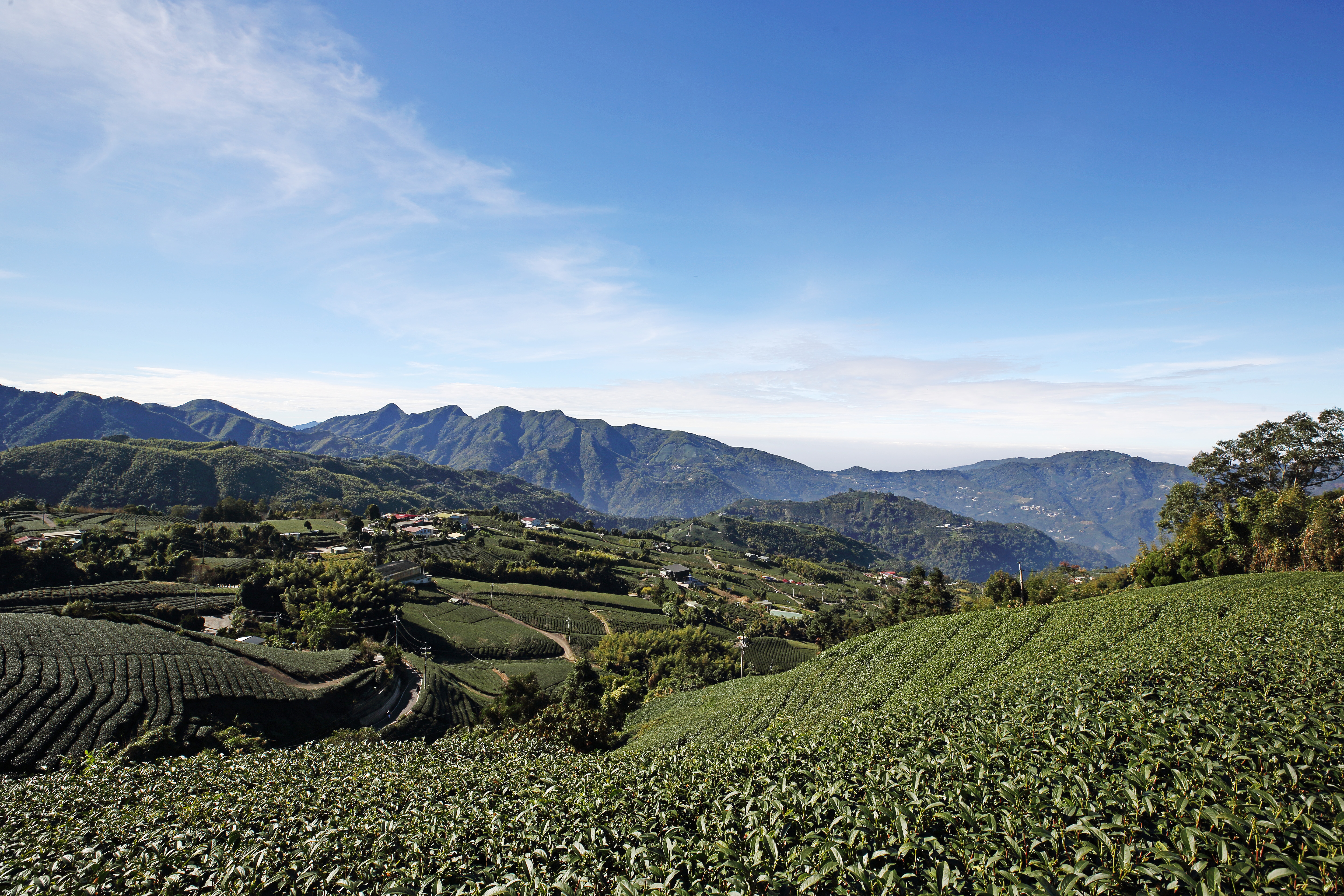 海鼠山1314觀景台