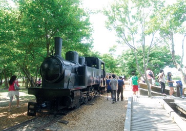 羅東林業文化園區 (竹林車站)