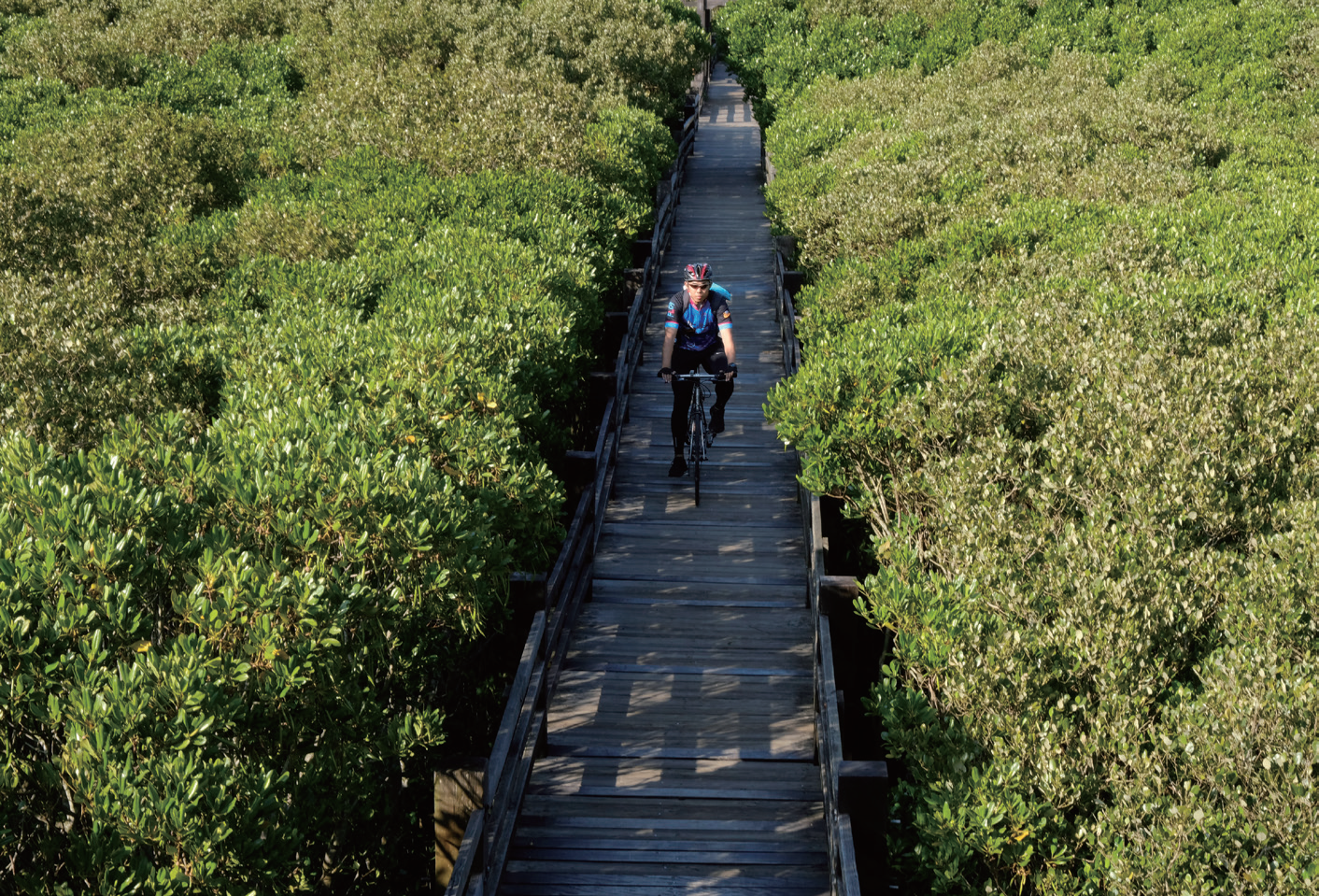 新豐紅樹林生態保護區