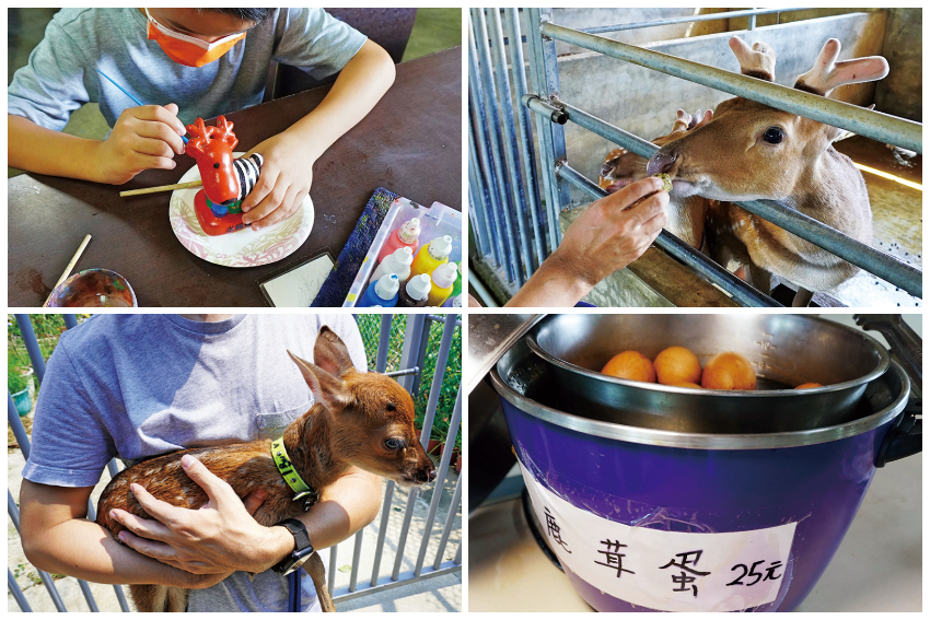 水鹿之家/山腳鹿場