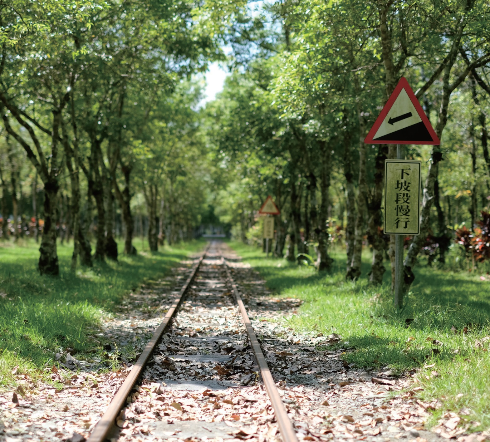 富興森林小火車