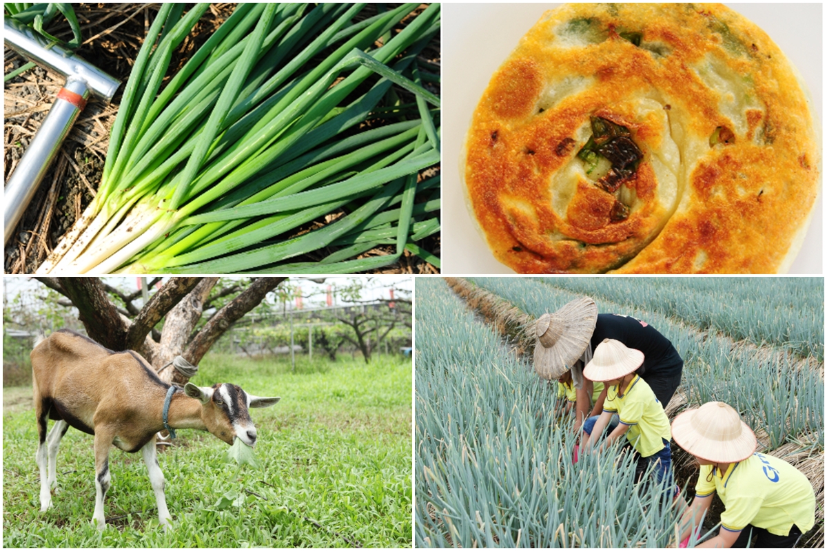 農夫青蔥體驗農場 農夫青蔥體驗農場